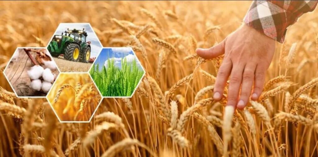 Ақтөбе облысында 296,8 млрд теңгеге ауыл шаруашылығы өнімі өндірілді