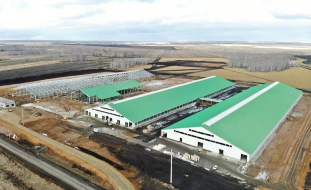 Биыл СҚО-да сүт өндіретін 8 заманауи кешен іске қосылады