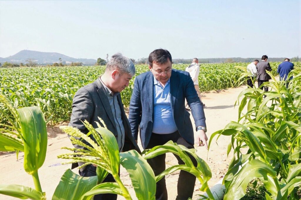 СЫР ӨҢІРІ ҚЫТАЙМЕН АГРОӨНЕРКӘСІП САЛАСЫНДАҒЫ ЫНТЫМАҚТАСТЫҚТЫ КЕҢЕЙТУДЕ