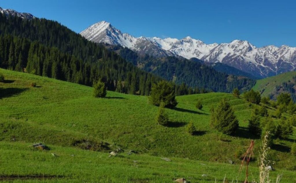 Алматы облысының туристік және инвестициялық тартымдылығы артуда