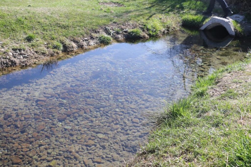 Биыл «Мөлдір бұлақ» акциясы аясында 30 бұлақ тазартылды